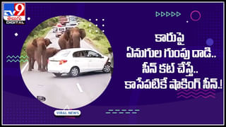 Viral Video: ఇంకా వదలని పుష్ప ఫీవర్‌.. రెజ్లింగ్‌ రింగ్‌లో కూడా డైలాగ్‌ హల్చల్‌.. వైరల్‌ అవుతోన్న వీడియో..