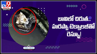 UK Woman: ఆ మహిళ ఐడియా అదిరింది గురూ.. ఆదాయం పెంచుకోవడానికి భర్తను అద్దెకిస్తానంటూ ప్రకటన.. భారీ రెస్పాన్స్..