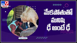 Barbaric Act: అమానుష ఘటన! 29 కుక్కలను తుపాకులతో విచక్షణారహితంగా కాల్చిన వైనం.. ఇది సురక్షిత దేశమా?