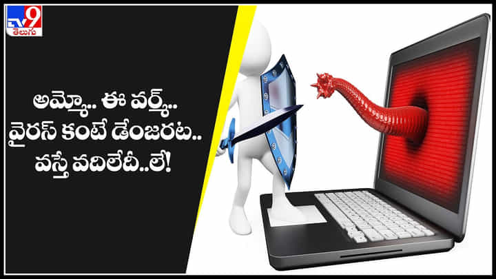 Computer Worm Virus: అమ్మో.. ఈ వర్మ్.. వైరస్ కంటే డేంజరట.. వస్తే వదిలేదీ లే.. Computer Worm Virus: అమ్మో.. ఈ వర్మ్.. వైరస్ కంటే డేంజరట.. వస్తే వదిలేదీ లే..