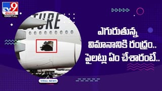 అధికారులకు కవలల బురిడీ.. ఒకరి పాస్‌పోర్ట్‌తో ఒకరు 30 సార్లు విదేశాలకు