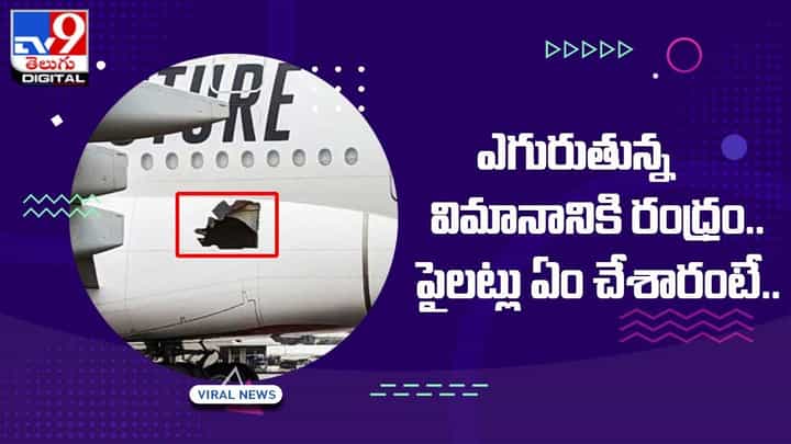ఎగురుతున్న విమానానికి రంధ్రం.. పైలట్లు ఏం చేశారంటే ఎగురుతున్న విమానానికి రంధ్రం.. పైలట్లు ఏం చేశారంటే