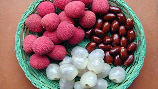 Fruit Seeds: పండ్లు తింటున్నప్పుడు జాగ్రత్తా..! మరిచిపోయి కూడా వాటి గింజలను తింటే ఇక అంతే..