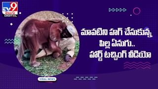 Viral News: ఉద్యోగం కోసం యువకుడి విచిత్ర ప్రయత్నం.. ఆఫీస్‌ల బయట QR కోడ్ ఏర్పాటు