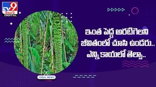 Viral Video: అట్లుంటది మనతోని.. వర్షపునీరు మీదపడకుండా ఈ వ్యక్తి ఏం చేశాడో చూస్తే ఫ్యూజులౌట్!