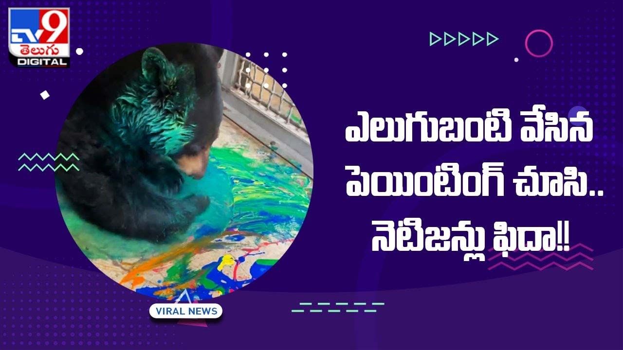 Viral Video: ఎలుగుబంటి వేసిన పెయింటింగ్‌ చూసి.. నెటిజ‌న్లు ఫిదా