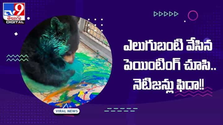 Viral Video: ఎలుగుబంటి వేసిన పెయింటింగ్ చూసి.. నెటిజన్లు ఫిదా Viral Video: ఎలుగుబంటి వేసిన పెయింటింగ్ చూసి.. నెటిజన్లు ఫిదా