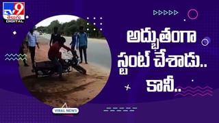 Viral Video: కొండముచ్చుతో పెట్టుకుంటే ఇలాగే ఉంటుంది