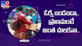 అప్పుడే ఇంట్లోకి వచ్చిన యజమాని.. వయ్యారంగా నడిచి వెళ్లి స్వాగతం చెప్పిన డాగీ