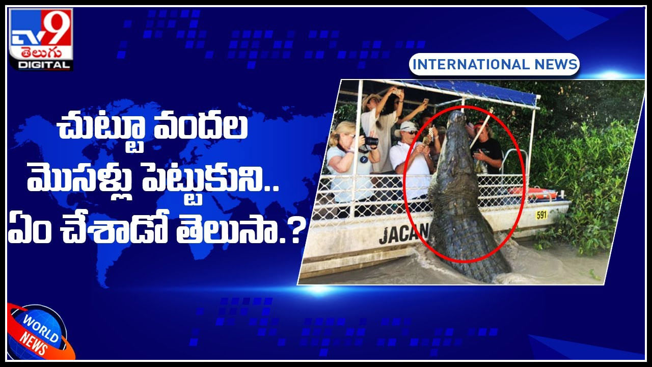 Crocodile Ride video: చుట్టూ వందల మొసళ్లు ఉన్నా.. భయం లేకుండా ఏం చేశాడో చూడండి.!