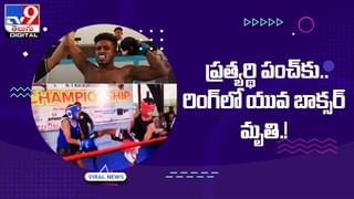 Viral: నువ్వు రాజు అయితే నాకేంటి !! మూడు సింహాలకు హిప్పో చుక్కలు !!