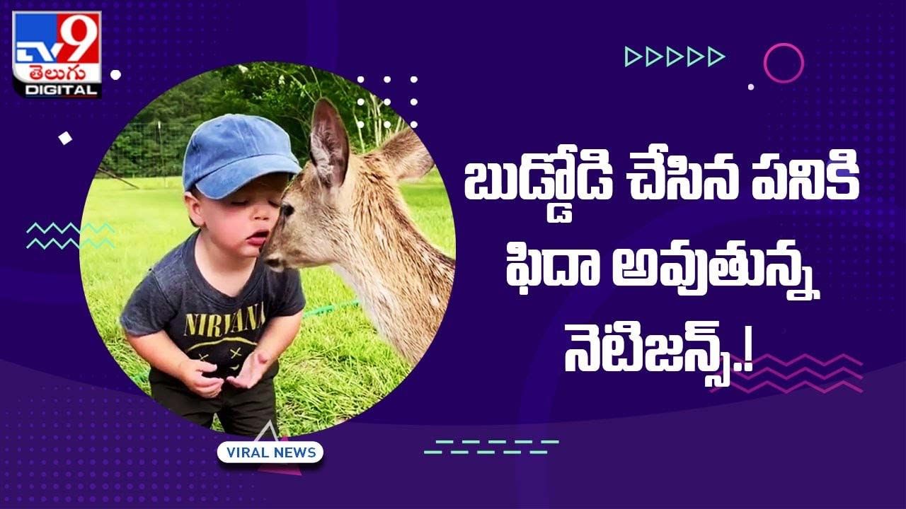 Viral: బుడ్డోడి చేసిన పనికి ఫిదా అవుతున్న నెటిజన్స్‌ !!