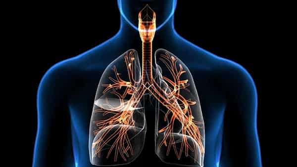 Health Tips:ఈ సీజన్లో శ్వాస సంబంధిత సమస్యలు రావొచ్చు.. ఇలా చేసి ఆరోగ్యంగా ఉండండి..!