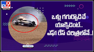 Viral Video: తలపై నీళ్ల గ్లాస్ తో కుక్క చేసే క్యాట్ వాక్ మీరెప్పుడైనా చూశారా