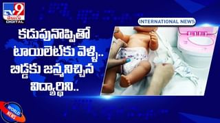 Viral Video: వేట కోసం చిరుత సాహాసం మాములుగా లేదుగా.. గాల్లో పల్టీలు కొట్టి మరీ..