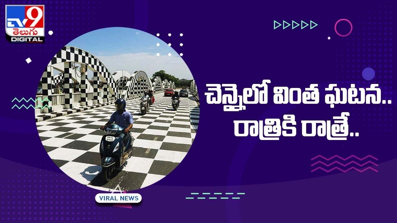 చెన్నైలో వింత ఘటన !! చెస్‌ బోర్డ్‌లా మారిపోయిన నేపియర్‌ బ్రిడ్జ్‌