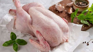 Health Tips: వేడి, తేమతో ఉక్కిరిబిక్కిరి అవుతున్నారా..? అయితే ఈ చిట్కాలు పాటించండి.. నిపుణులు ఏమంటున్నారంటే..?