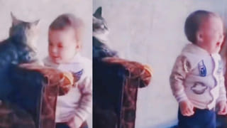 kuntala and pochera waterfalls: కుంటాల, పొచ్చెరకు జలకళ.. చూడతగ్గ ప్రకృతి అందాలు..