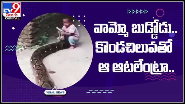 child-python: వామ్మో బుడ్డోడా.. కొండచిలువతో ఆ ఆటలేంట్రా..! ఒళ్ళు గగుర్పొడిచే వీడియో.. child-python: వామ్మో బుడ్డోడా.. కొండచిలువతో ఆ ఆటలేంట్రా..! ఒళ్ళు గగుర్పొడిచే వీడియో..