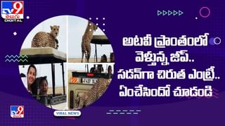 Viral Video: ఈ బుడ్డోడి మాస్క్‌ చూస్తే నవ్వకుండా ఉండలేరు…