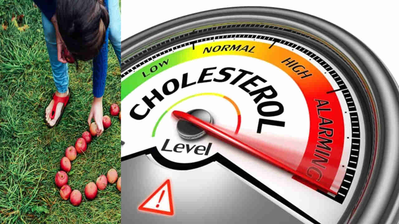 Cholesterol: శరీరంలో కొలెస్ట్రాల్ తగ్గించుకోవడానికి సులువైన చిట్కాలు..