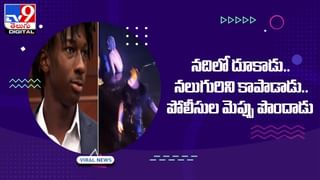 Viral Video: శత్రువుల నుంచి రక్షణ కోసం పాముగా మారే జీవి.. వేటగాళ్లను సైతం భయపెట్టే గొంగళిపురుగు ఆసక్తికరమైన వాస్తవాలు