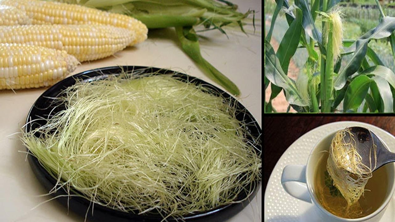 Corn Silk Tea Benefits: మొక్క జొన్న పీచుతో టీ చేసుకోవడం ఎలా? దీంతో ఎన్నో ఆరోగ్య ప్రయోజనాలు