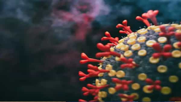 అయ్యా బాబోయ్... ఒకేసారి ఒకే వ్యక్తిలో Monkeypox, HIV, Covid-19..! ఇప్పుడెలా ఉందంటే..?