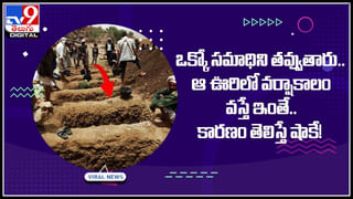 Hens beat drums: అట్లుంటది మరి.. డ్రమ్స్‌ కొట్టిన కోళ్లు..  ఆశ్చర్యపోతున్న మ్యూజిక్ లవర్స్..