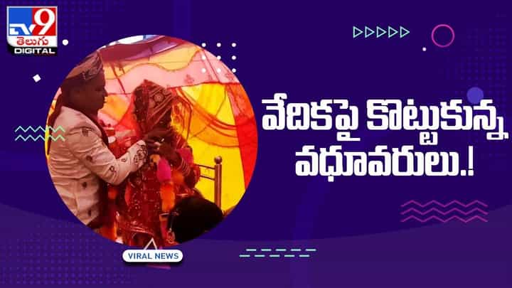 Viral: వేదికపై పొట్టు పొట్టుగా కొట్టుకున్న వధూవరులు.. వీడియో చూస్తే బిత్తర పోవాల్సిందే Viral: వేదికపై పొట్టు పొట్టుగా కొట్టుకున్న వధూవరులు.. వీడియో చూస్తే బిత్తర పోవాల్సిందే