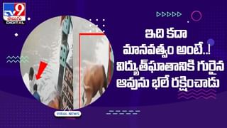 Viral: పండ్లమ్మి అమ్మి కూడా పాపులర్ అవ్వొచ్చని ప్రూవ్ చేసిన ఫ్రూట్ సెల్లర్