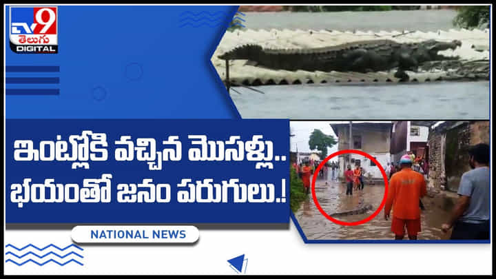 Crocodiles in Floods: వరదలు ఎంత పని చేసాయి రా..! ఇంట్లోకి వచ్చిన మొసళ్లు.. భయంతో పరుగులు.. Crocodiles in Floods: వరదలు ఎంత పని చేసాయి రా..! ఇంట్లోకి వచ్చిన మొసళ్లు.. భయంతో పరుగులు..