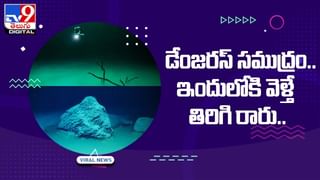 వామ్మో అది టీ స్టాల్‌ కాదు.. లోపలి సీన్‌ చూసి పోలీసులు షాక్‌