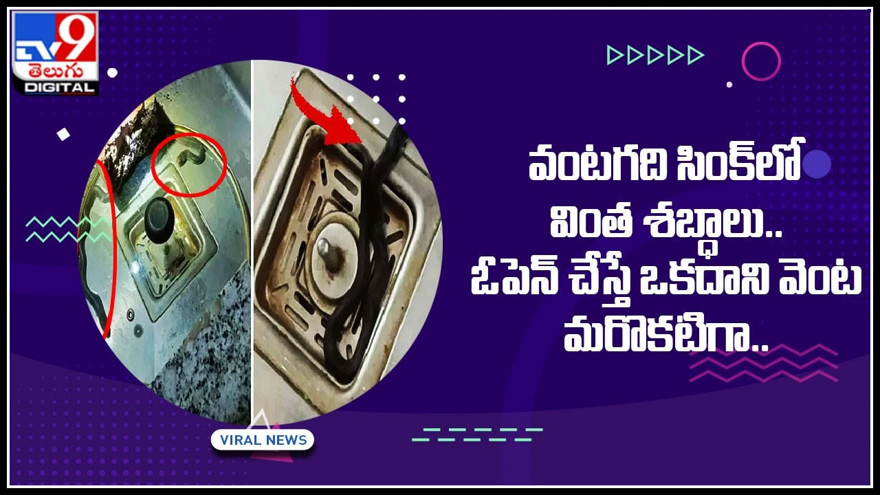 Different sounds in kitchen: వంటగది సింక్‌లో వింత శబ్ధాలు.. ఓపెన్ చేస్తే ఒకదాని వెంట మరొకటి..