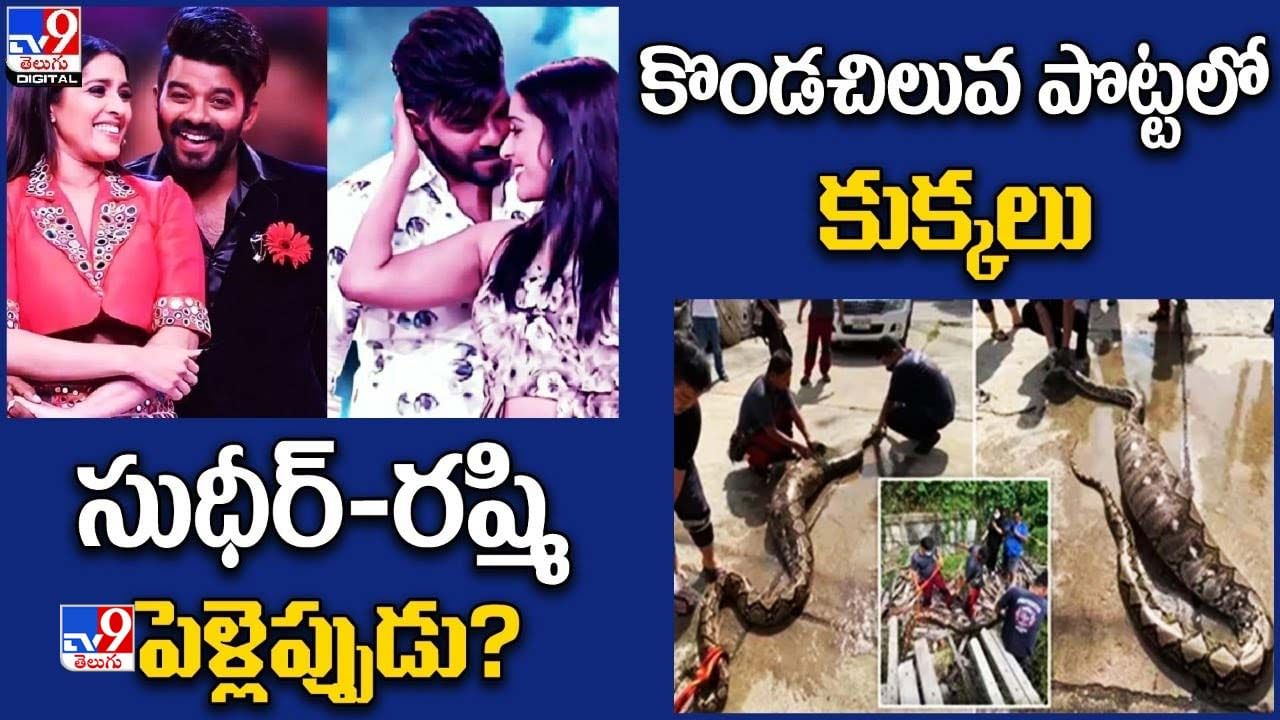 Digital News Round Up: సుధీర్‌-రష్మి పెళ్లెప్పుడు? | కొండచిలువ పొట్టలో కుక్కలు..లైవ్ వీడియో