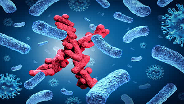Disease X: ప్రపంచంపై మరో కొత్త మహమ్మారి దాడి చేయనుందా? అది ఎలాంటి వైరస్..!