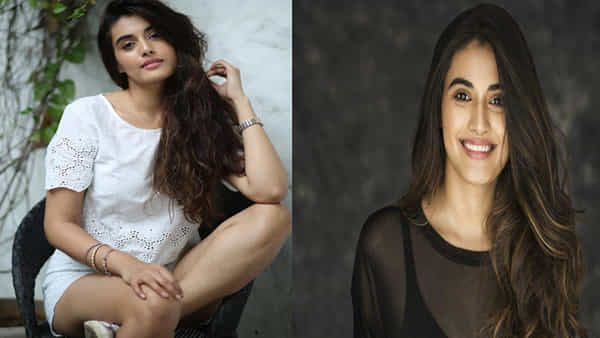 Divyansha Kaushik: నాగచైతన్య, రవితేజలో ఒక కామన్ క్వాలిటీ ఉంది.. దివ్యాంశా కౌశిక్ ఇంట్రెస్టింగ్ కామెంట్స్..
