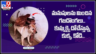 TV9 Digital News Round Up: అతడు సినిమాను వేణు వదులుకున్నాడా? | క్యాసినో ఆటలో టాలీవుడ్‌ హీరోయిన్లు..?