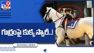 దొంగల ముఠానే హడలెత్తించిన ఓ పెద్దాయన.. దెబ్బకు తోకముడిచిన గ్యాంగ్‌