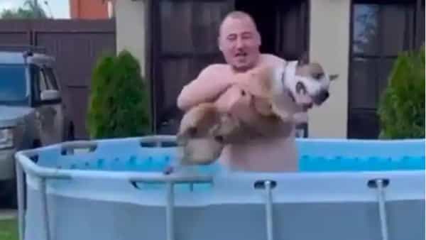 Viral Video: నువ్వే ఈత కొడతావా..? నేను కొట్టకూడదా.. యజమానికి చుక్కలు చూపించిన శునకం..