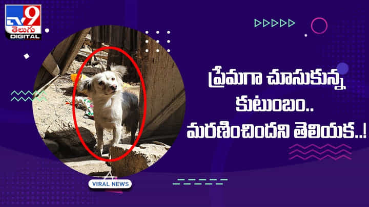 తనను ప్రేమగా చూసుకున్న కుటుంబం.. మరణించిందని తెలియక.. తనను ప్రేమగా చూసుకున్న కుటుంబం.. మరణించిందని తెలియక..