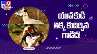 Viral Video: అద్భుతంగా స్టంట్‌ చేశాడు.. కానీ చిన్న పొరపాటుతో !!