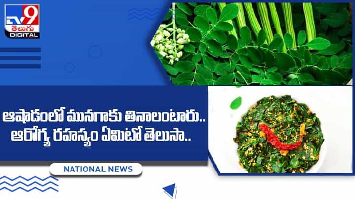 ఆషాడంలో మునగాకు తినాలంటారు.. ఆరోగ్య రహస్యం ఏమిటో తెలుసా ?? ఆషాడంలో మునగాకు తినాలంటారు.. ఆరోగ్య రహస్యం ఏమిటో తెలుసా ??