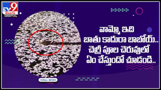Video Viral: పుట్టింటికి వెళ్తే కనీసం నెల ఉండాల్సిందే.. వరుడి సమాధానం విని పడీపడీ నవ్విన అతిథులు