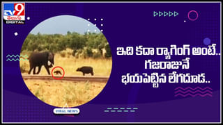 Viral Video: ప్రకృతి ఒడిలో రైలు ప్రయాణం.. దూద్ సాగర్ అందాలతో తన్మయత్వం.. మనసు దోచుకుంటున్న దృశ్యాలు