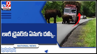 Viral: చెట్లు నాటేందుకు మట్టి తవ్వుతుండగా బయటపడ్డ అద్భుతం.. ఏంటా అని చూడగా కళ్లు జిగేల్!