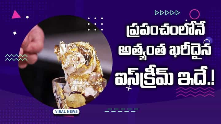 ప్రపంచంలోనే అత్యంత ఖరీదైన ఐస్క్రీమ్.. దీని ధర ఎంతో తెలిస్తే షాకే ప్రపంచంలోనే అత్యంత ఖరీదైన ఐస్క్రీమ్.. దీని ధర ఎంతో తెలిస్తే షాకే