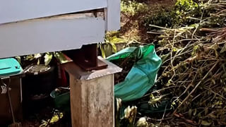 Viral Video:  పిల్లలతో రోడ్డు దాటుతున్న బాతు.. సాయం చేసిన పోలీసులు.. వీడియో చూస్తే మీరు కూడా సెల్యూట్ చేస్తారు!