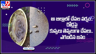 Roti making: ఎవర్‌గ్రీన్‌ హోటల్‌లో దారుణం.. రోటీలు చేస్తూ ఇతనేం చేసాడో మీరే చూడండి..