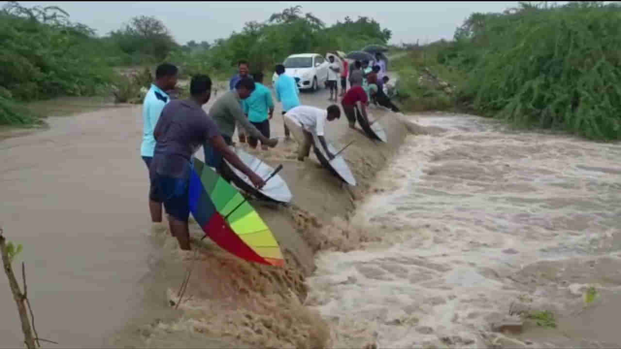 Amazing Fish Catching Process: గొడుగులతో చేపల వేట.. దొరికిన వాళ్లకు దొరికినన్నీ.. పోటీపడ్డ జనాలు